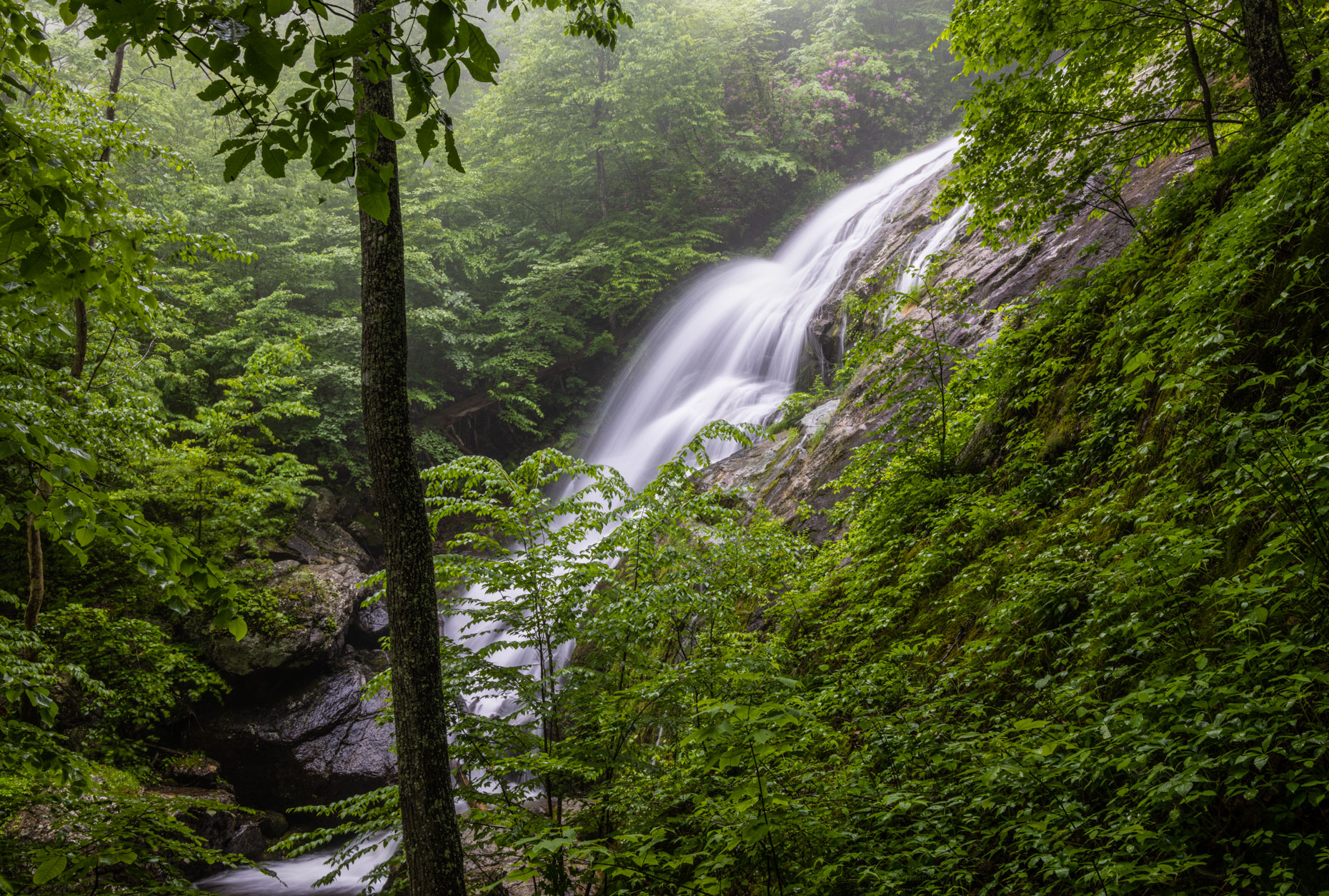 5B9A4222-Edit