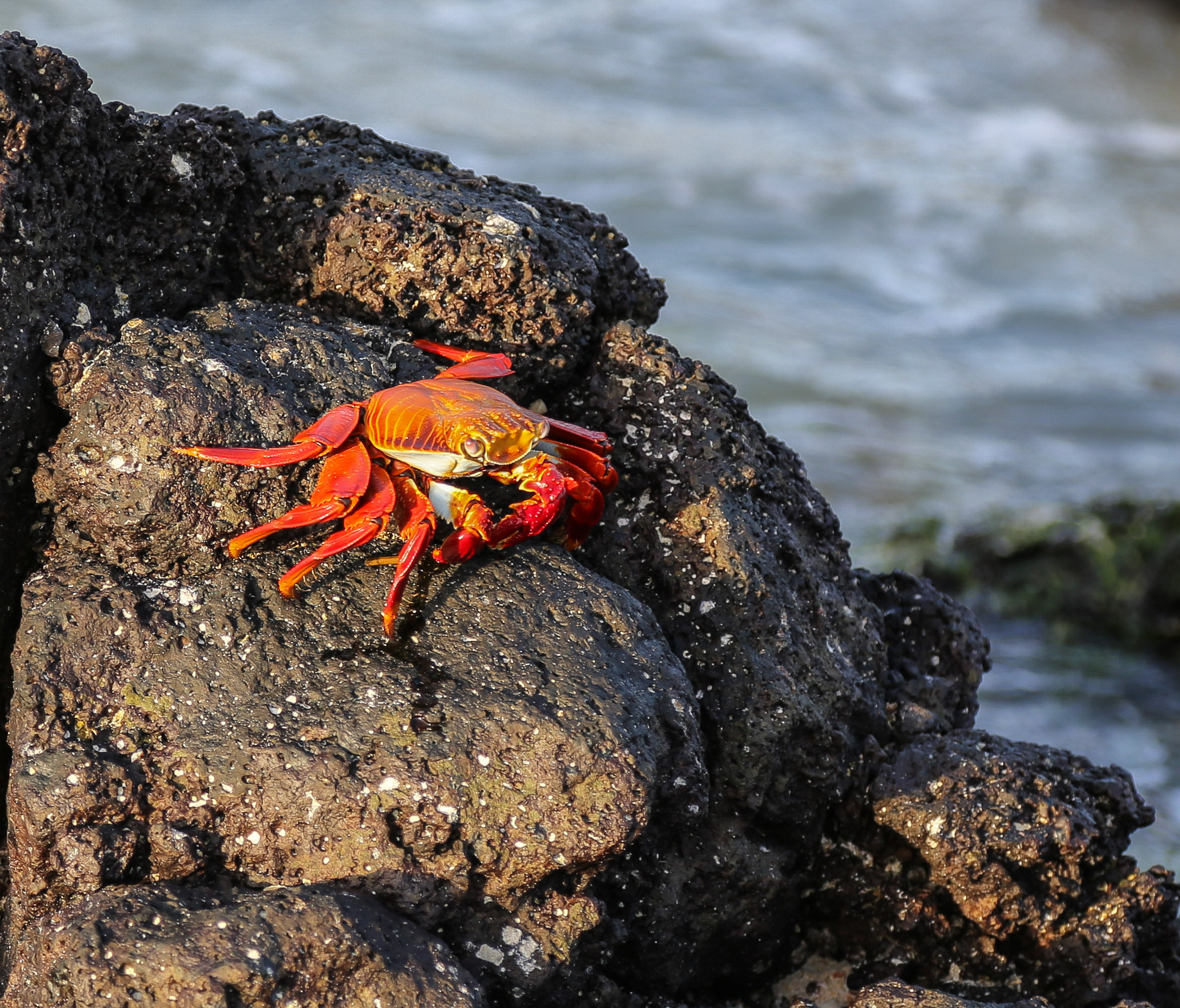 IMG_0889-Edit